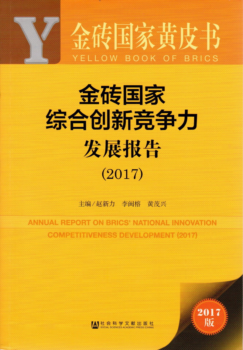 男从后面操视频免费看金砖国家综合创新竞争力发展报告（2017）